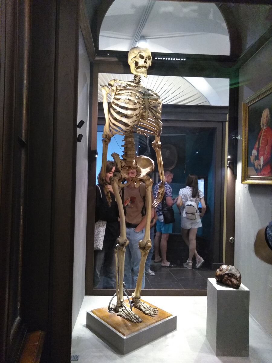 При внимательном рассмотрении замечаешь, что по своим пропорциям голова не совсем соответствует телу.