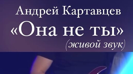 картавцев концерты 2024