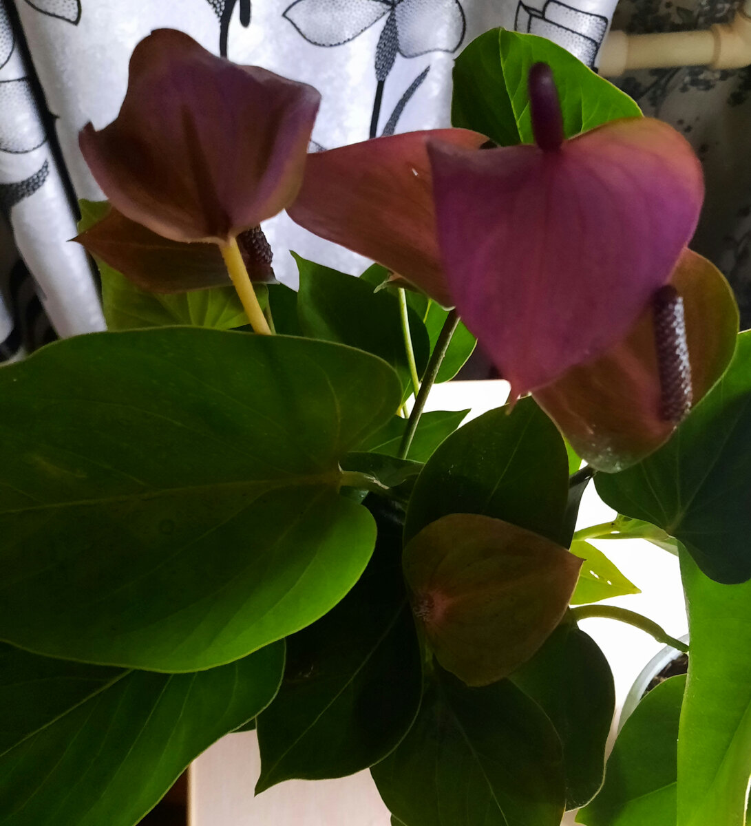 Фото из личного архива