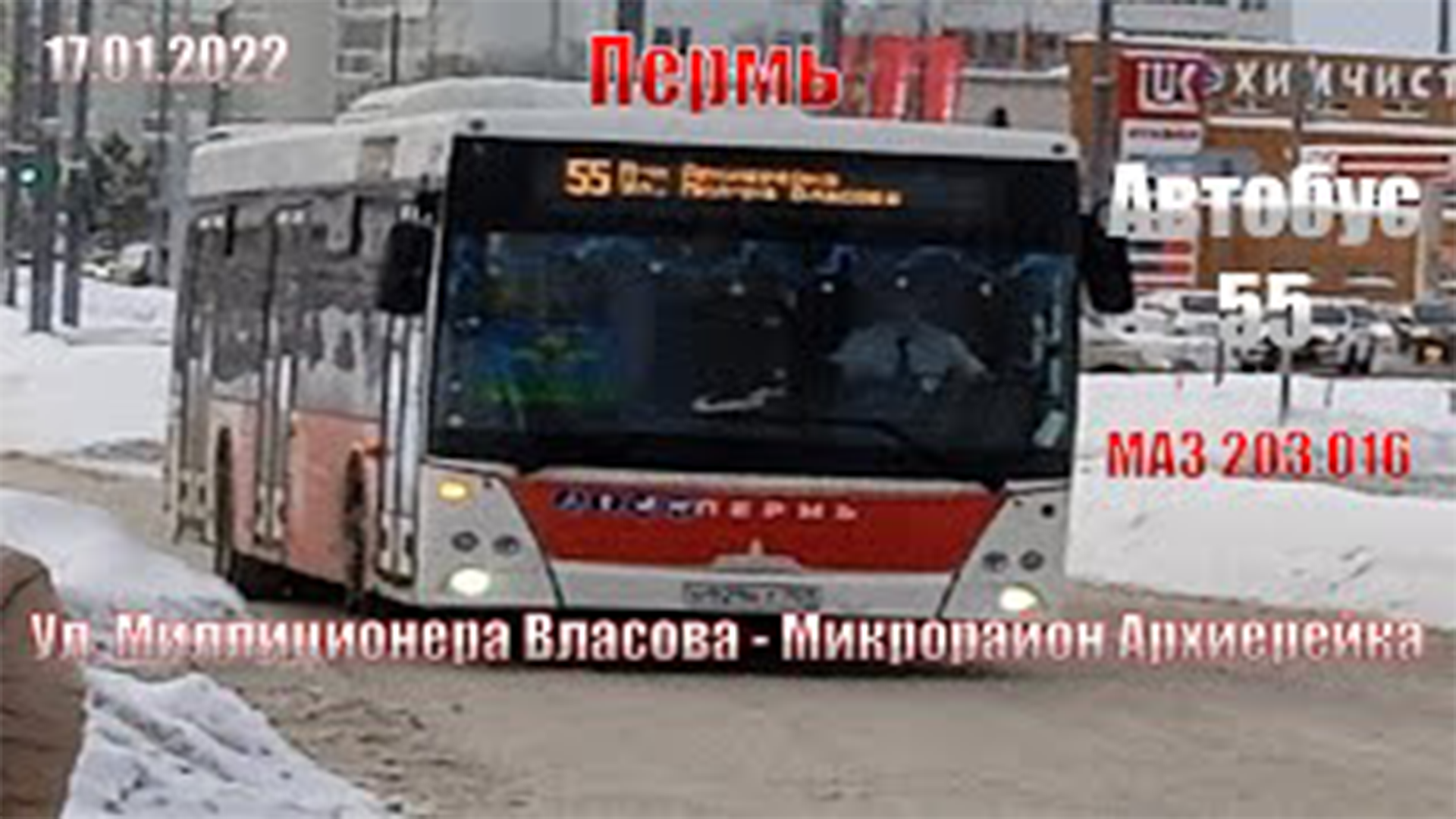 Пермь | Автобус маршрут 55 | МАЗ 203.016 | Ул. Милиционера Власова -  Микрорайон Архиерейка | 17.01.2022.