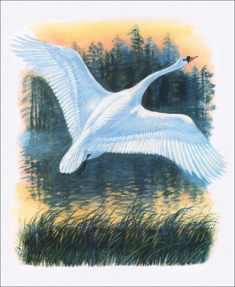 Источник картинки : book-graphics.blogspot.com