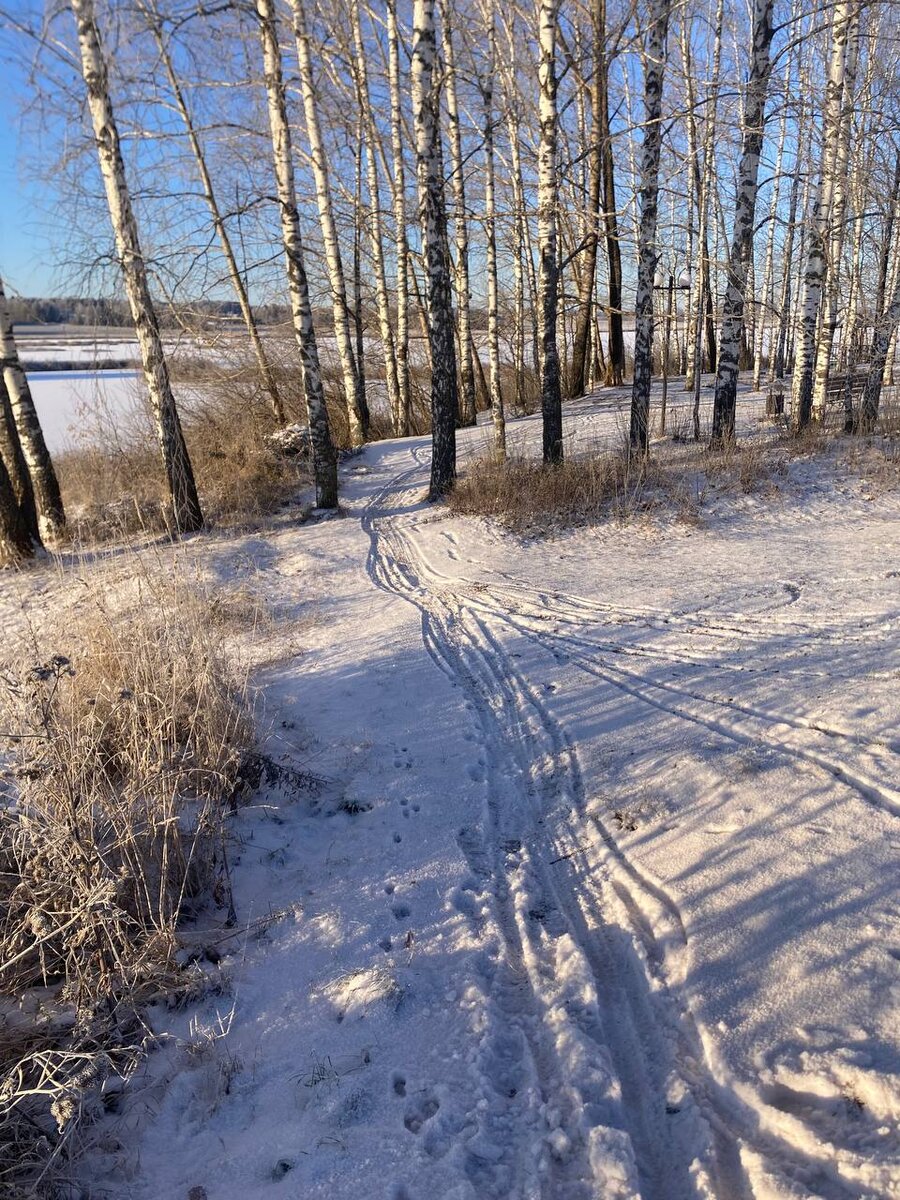 Снега пока негусто, но кто-то уже прошёл на лыжах!