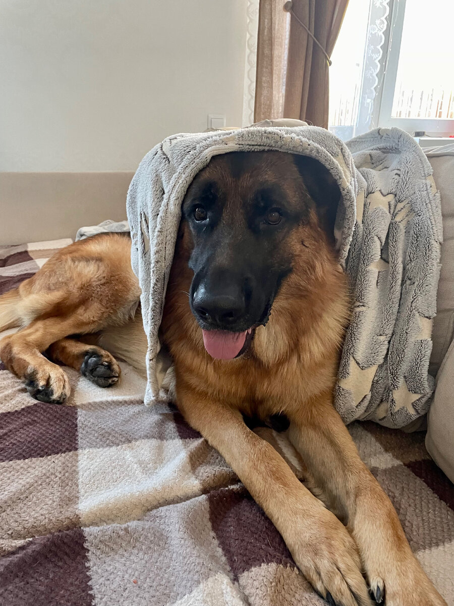 Звезда в шоке 