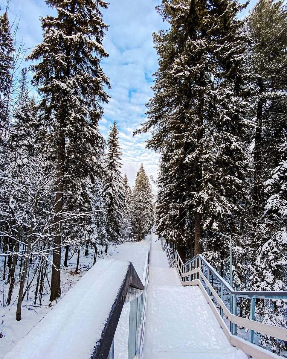 Дорога в гору, Самаровский чугас, ну разве не красота. 