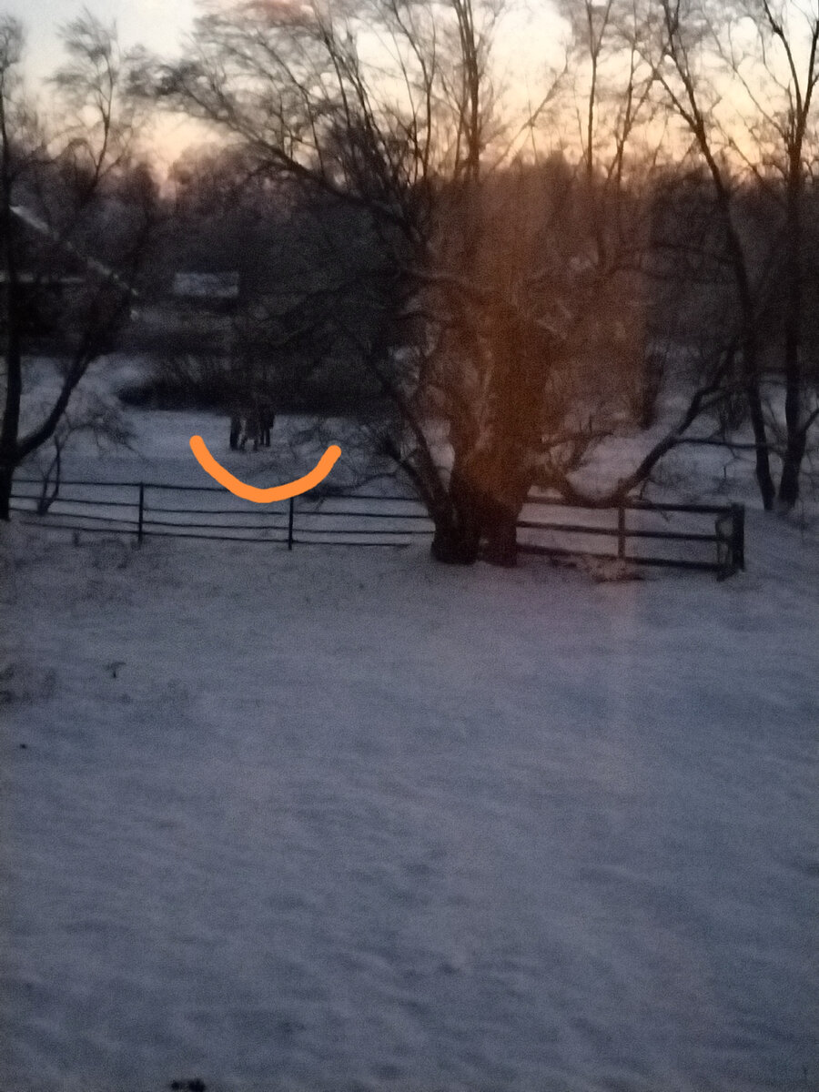 Сима, Соня и Вася