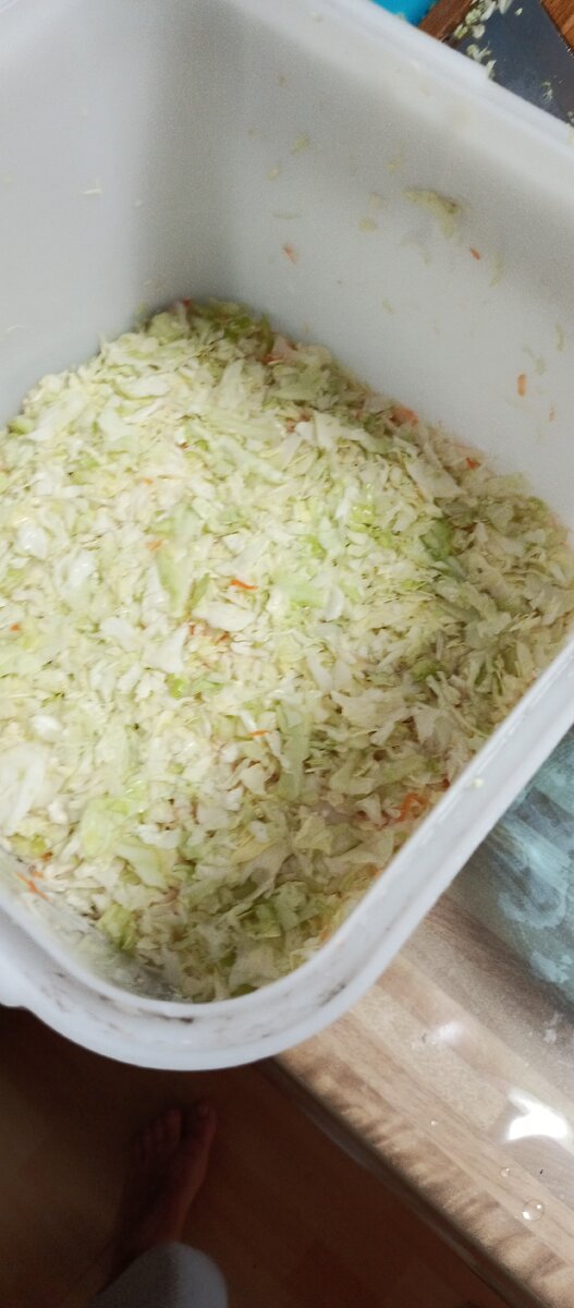 Слой капусты, слой морковуи, соль по вкусу