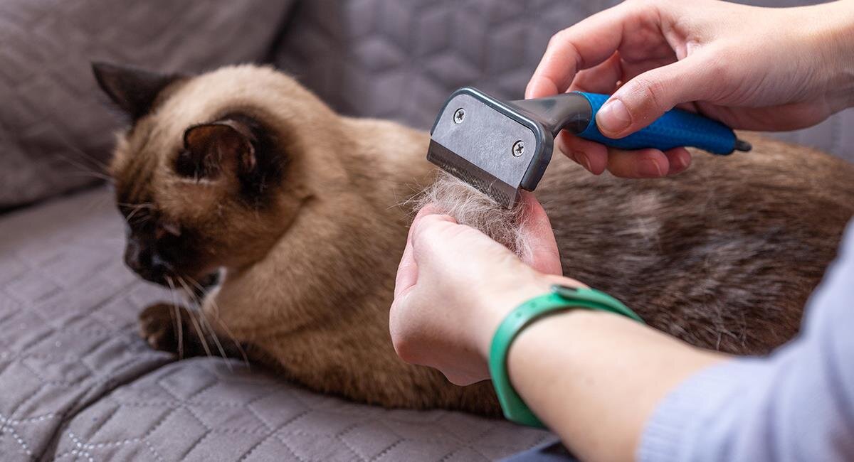 Фото из Интернета. 