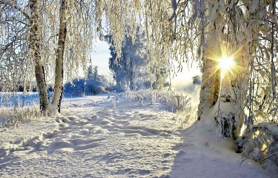 https://content-28.foto.my.mail.ru/community/balidiscounts/_groupsphoto/h-1687.jpg