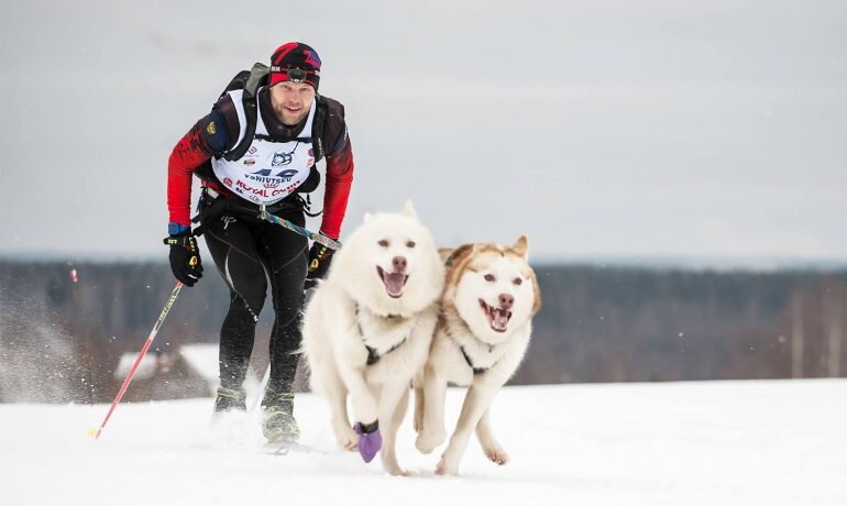 Источник: shutterstock.com