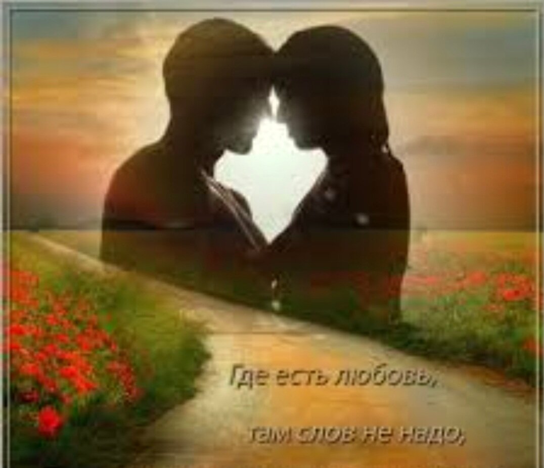 скрипка и цветы. скрипка и роза.