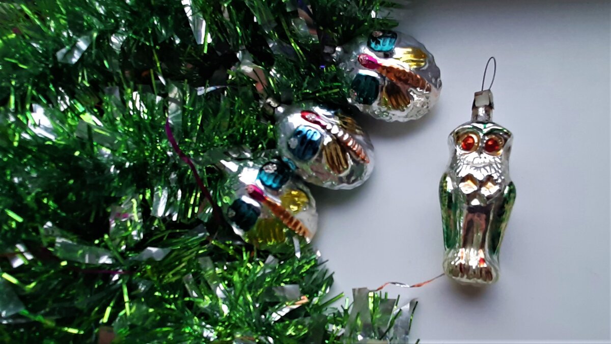 Сова и бабочки 