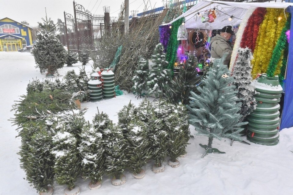     Фото: архив КП