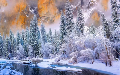 Яндекс.Картинки