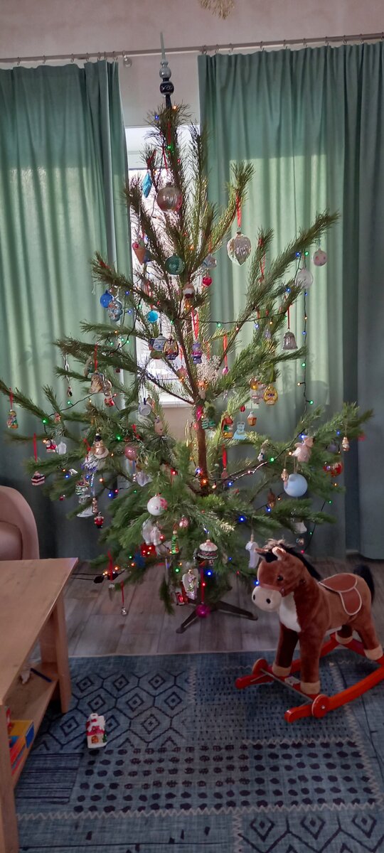 Ёлочка красавица которую рассмотрим