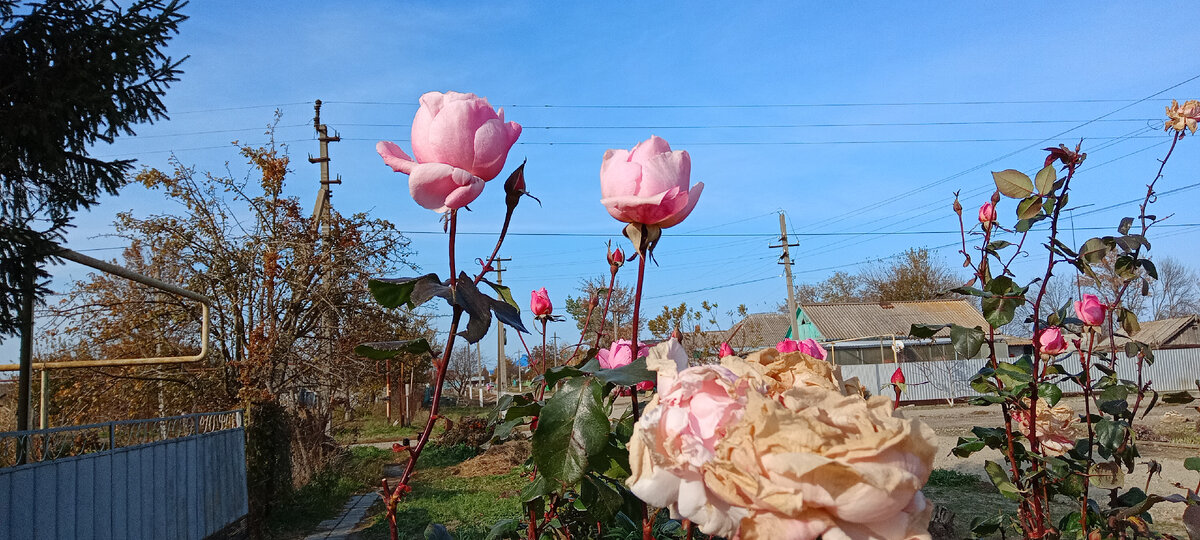 Станичная улица. Фото автора