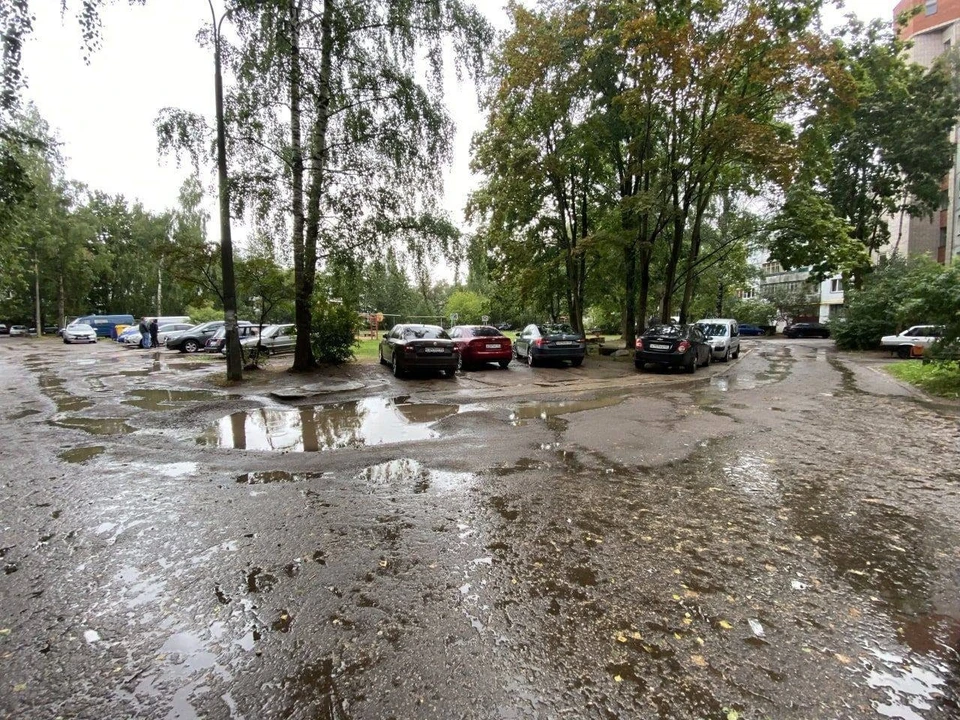 Фото:Telegram-канал главы Пскова Бориса Елкина  
