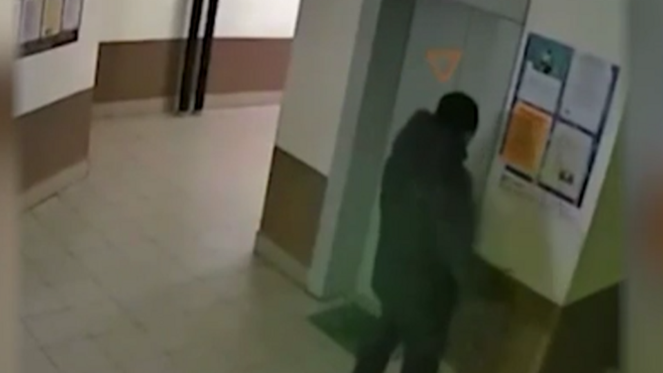 Фото: © скриншот видео