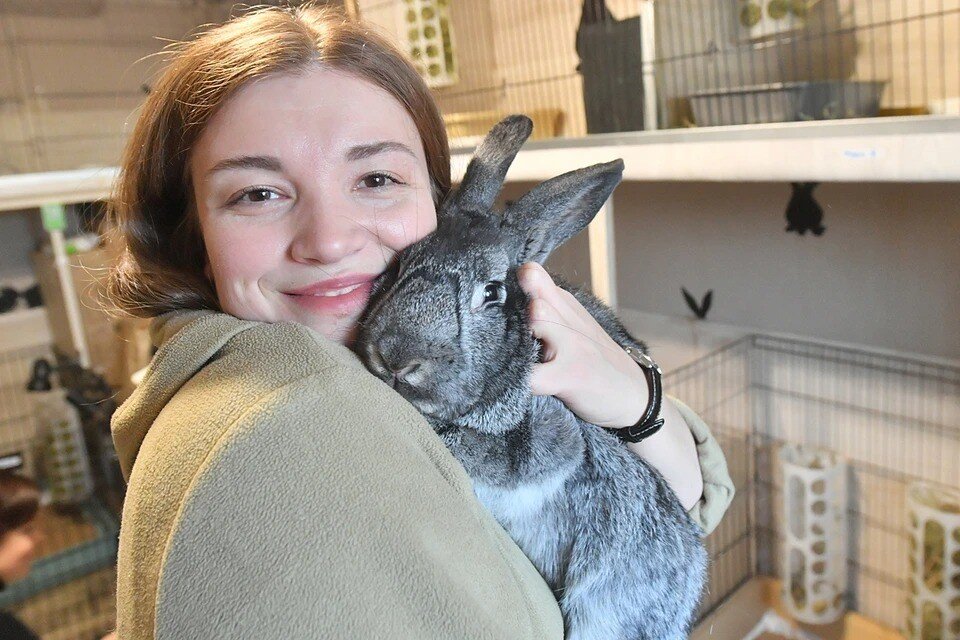     Больше всего от испытаний косметики страдают подопытные кролики. Владимир ВЕЛЕНГУРИН