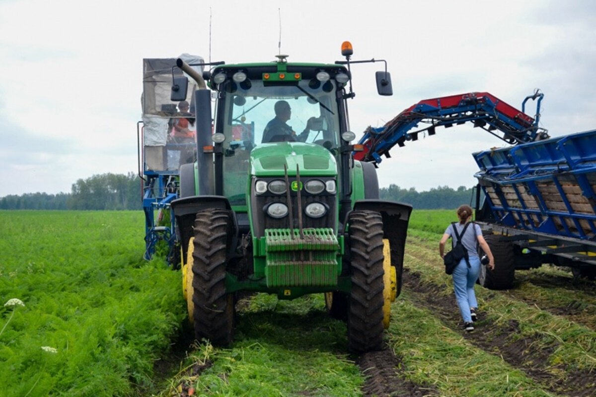 Урожай может быть под угрозой.  Фото: Фото: ФедералПресс / Дмитрий Шевалдин