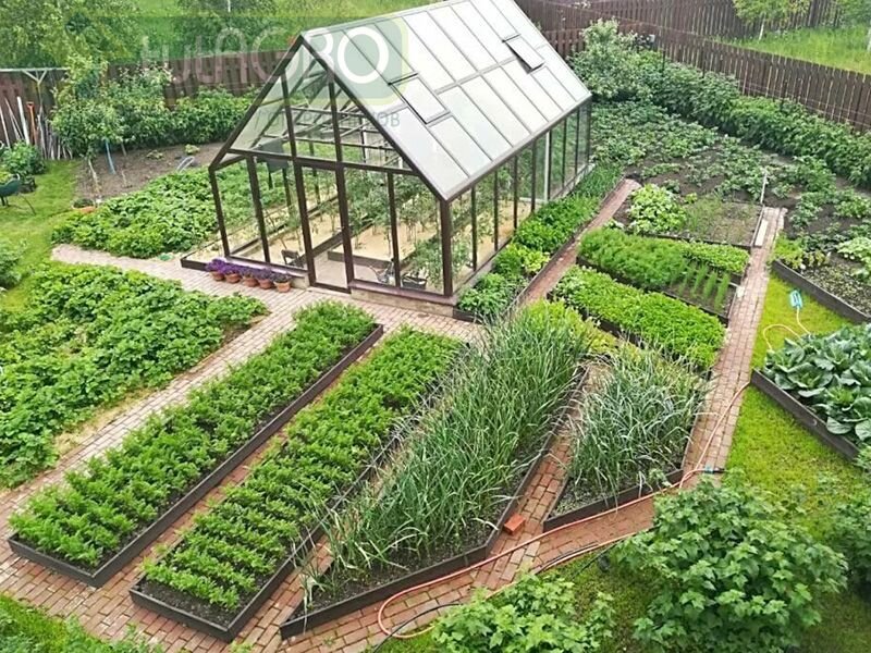 Источник: tutagro.com