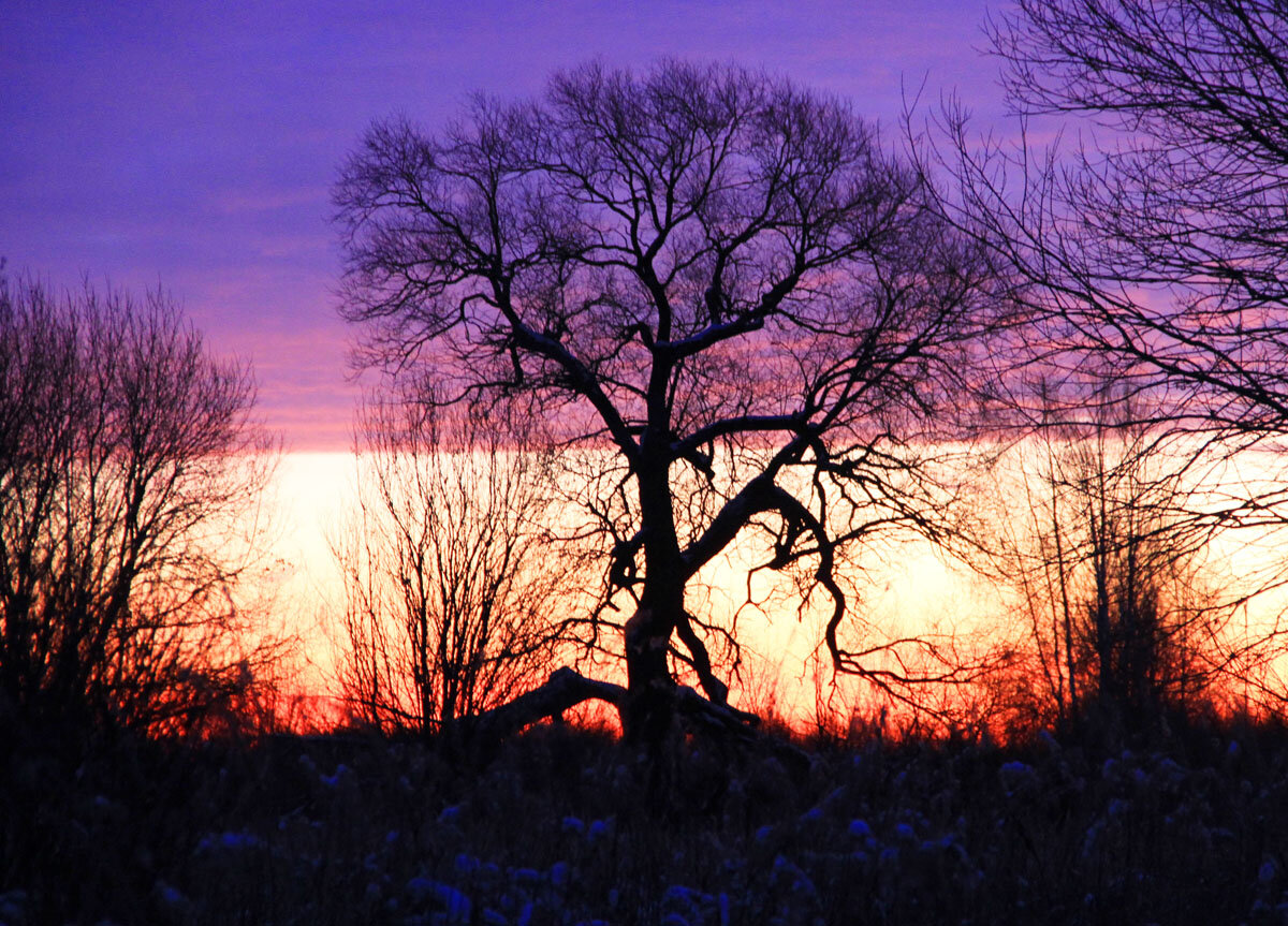 Любимовка, вечер. Фрагмент.