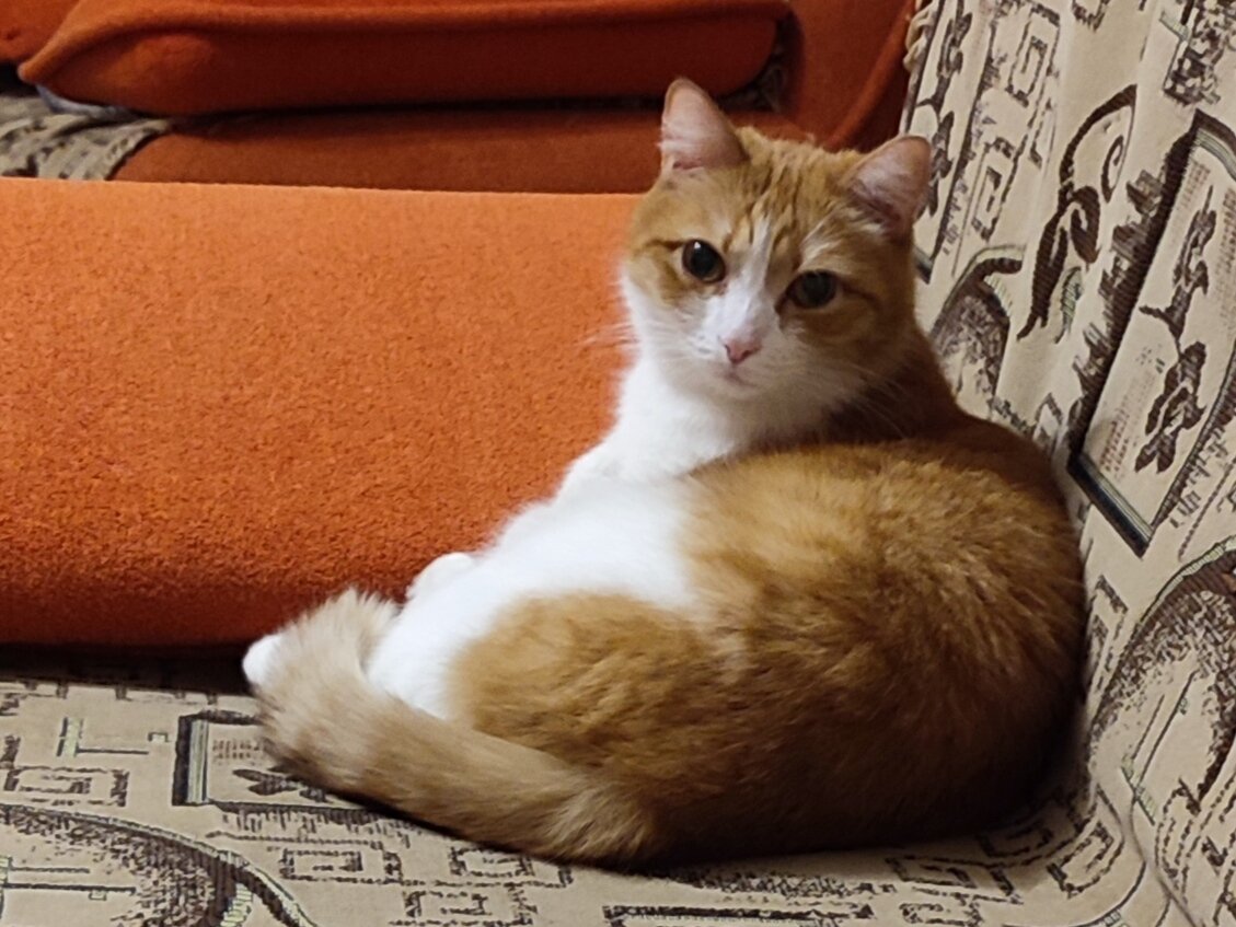 Знакомьтесь, Муся!