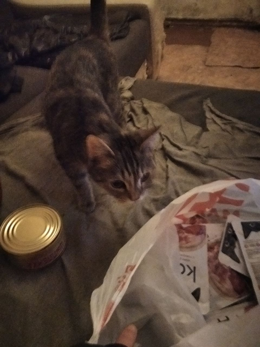 яндекс дзен монетизация 2023. как работает монетизация в яндекс дзен. нищий форт. дневник нищего дзен. рома нищий.