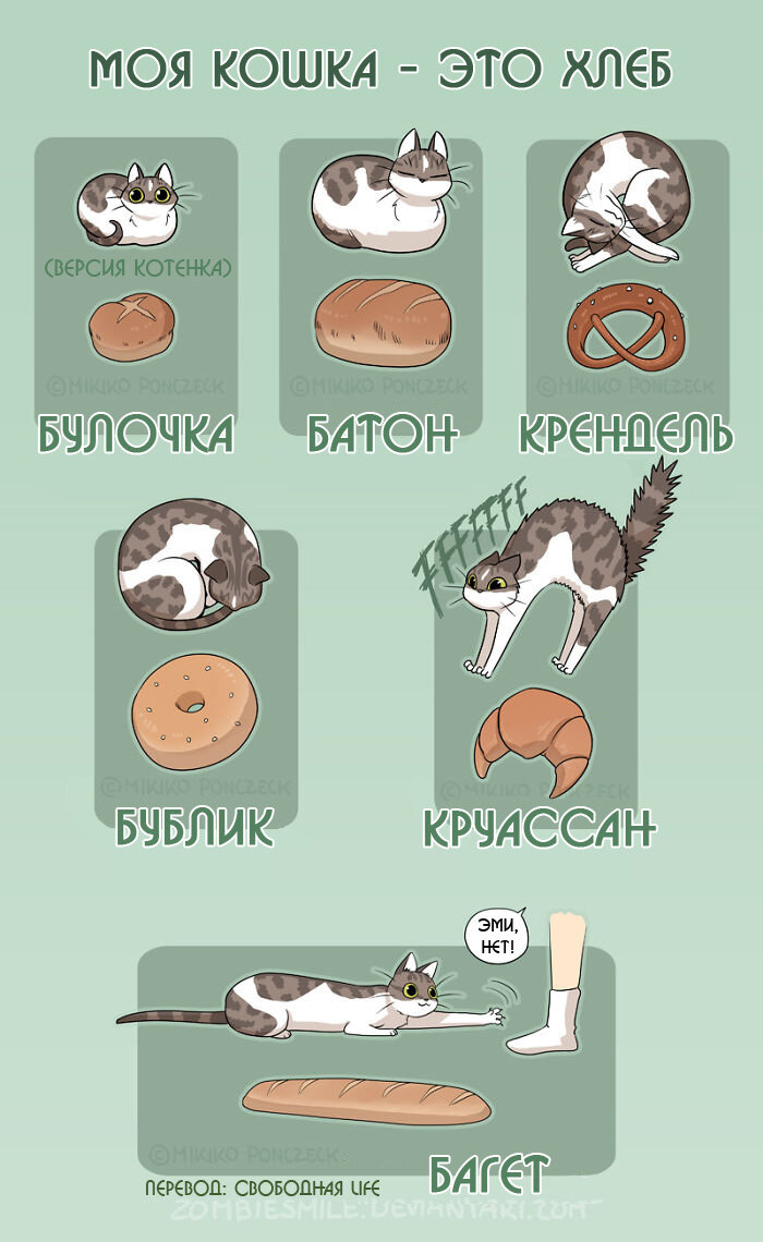 Кот с батоном мем Жизнь с кошками в смешных комиксах Ольга Брик Дзен