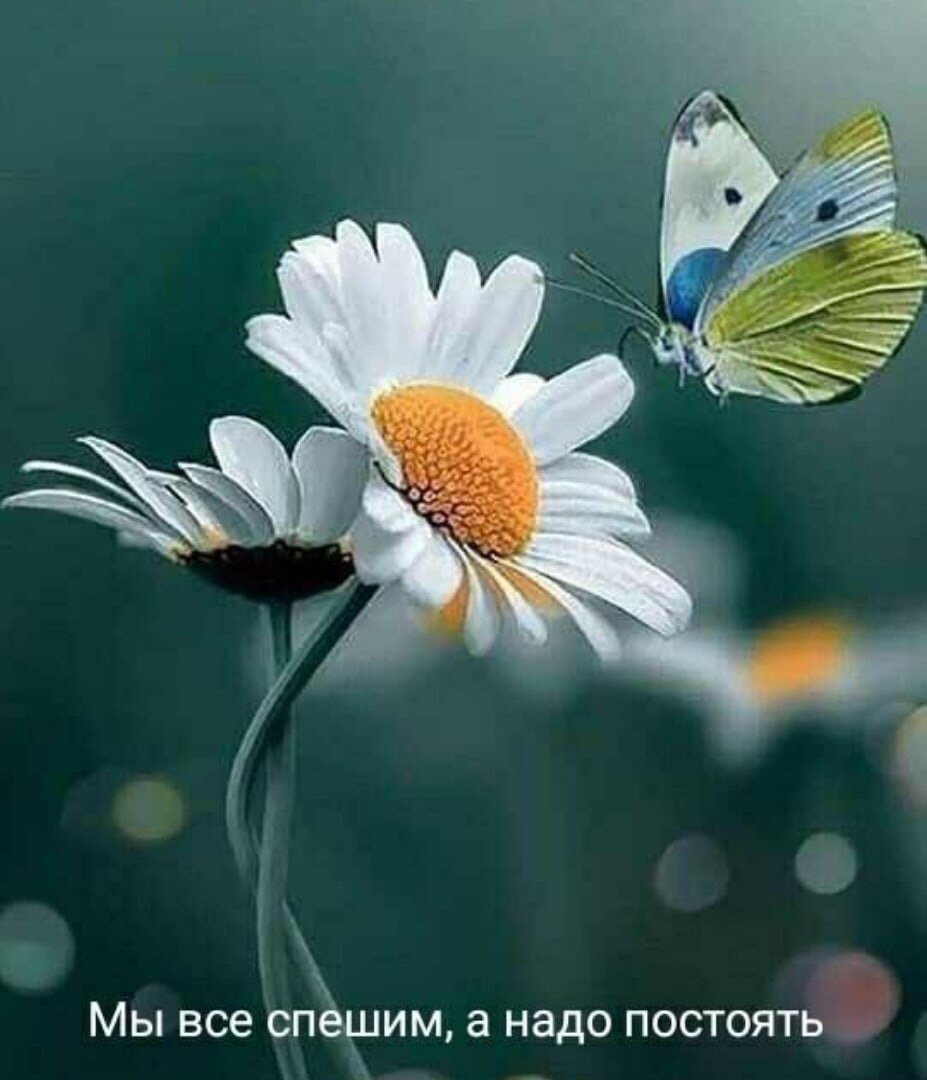 Фото из свободного источника