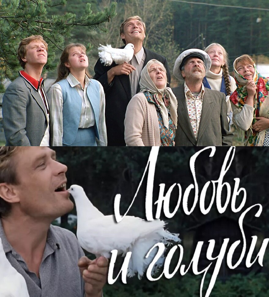 Фото: кадры из фильмов