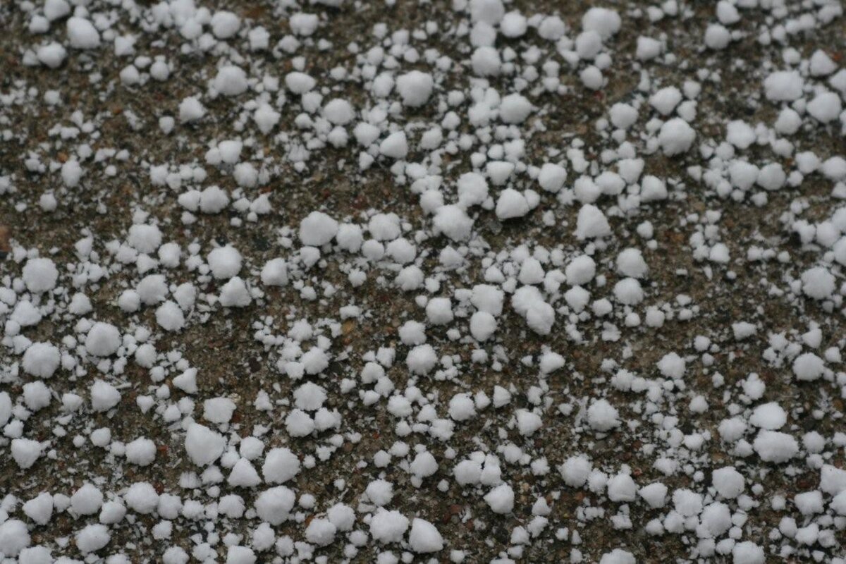 Источник яндекс картинки