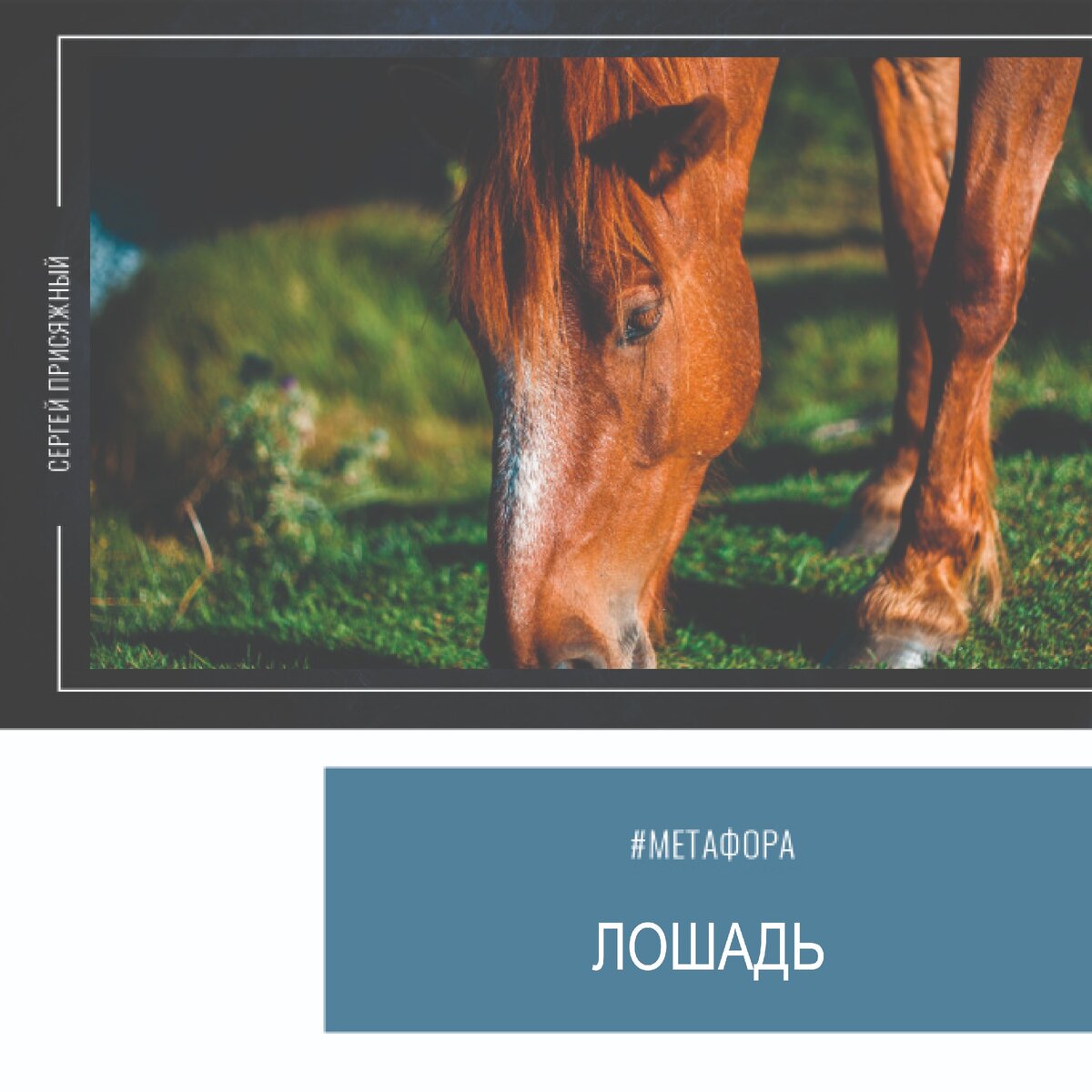 Created by introspectivedsgn — www.freepik.com.