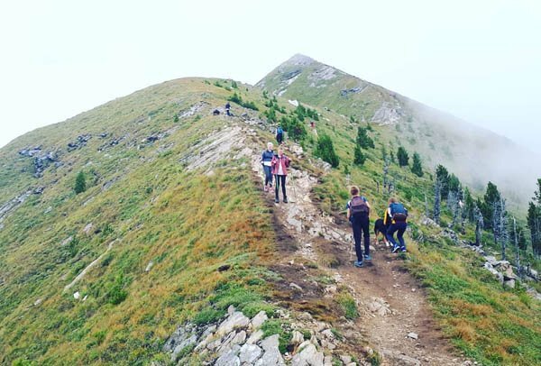 Ранее по тропе прошли 100 человек - без происшествий