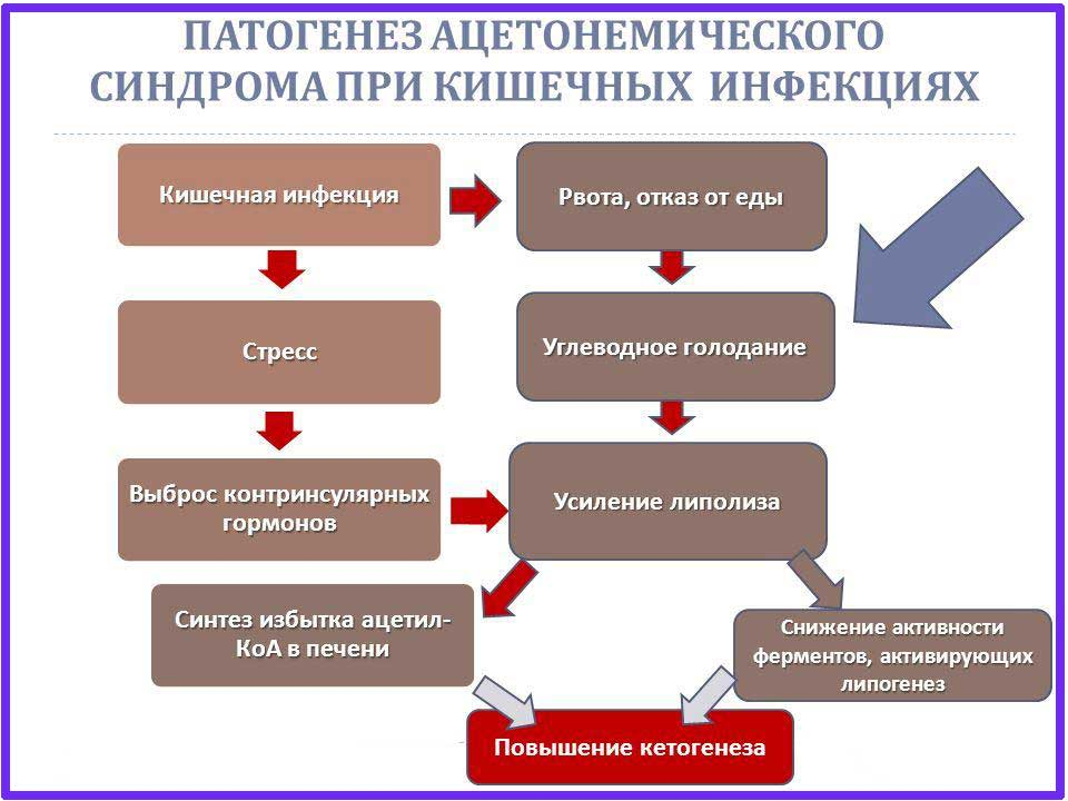 Диета при повышенном ацетоне