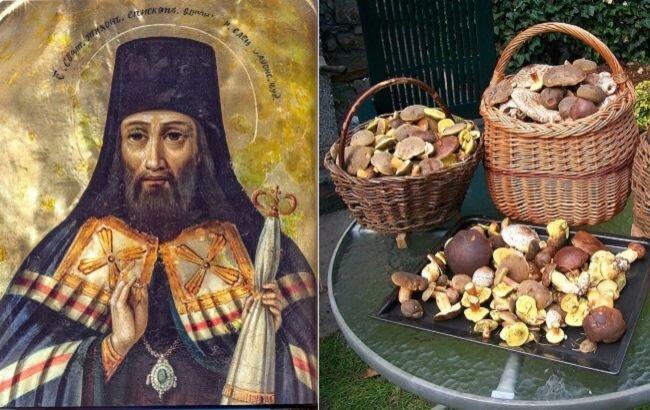 Источник фото: https://www.google.com/search