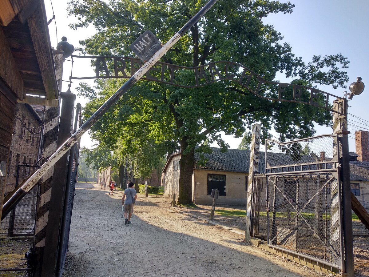 Arbeit macht frei — труд освобождает