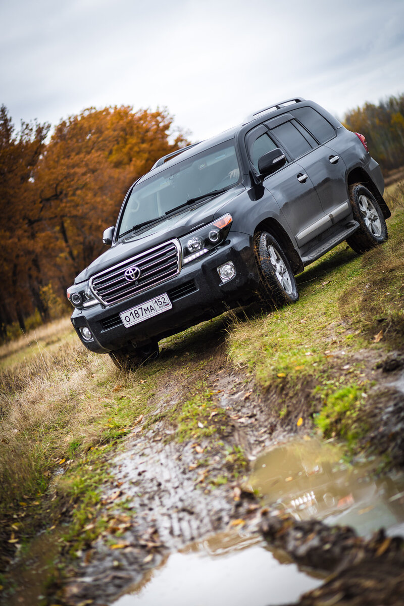 Изображение из открытого источника в "Яндекс Картинки" 