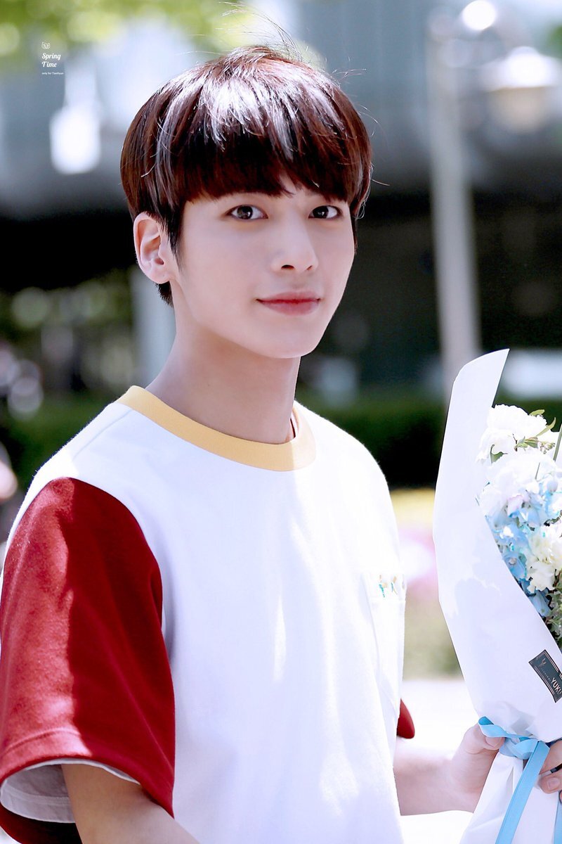 Яндекс. Картинки (Техён из txt) 