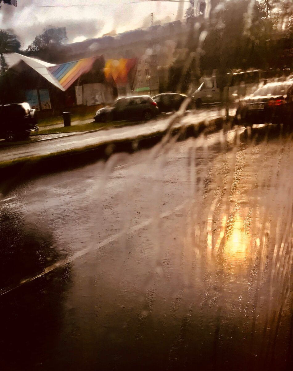 Вспоминала сегодня Лену, которую встретила в Зеленоградске. Они приехали в Кгд всей семьёй потому, что я так вдохновенно его показываю. И вот думаю - ну как же оно, в итоге-то? Прям волнуюсь )