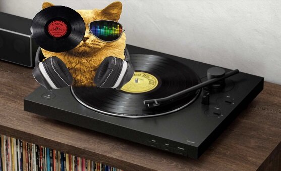 Коллаж автора