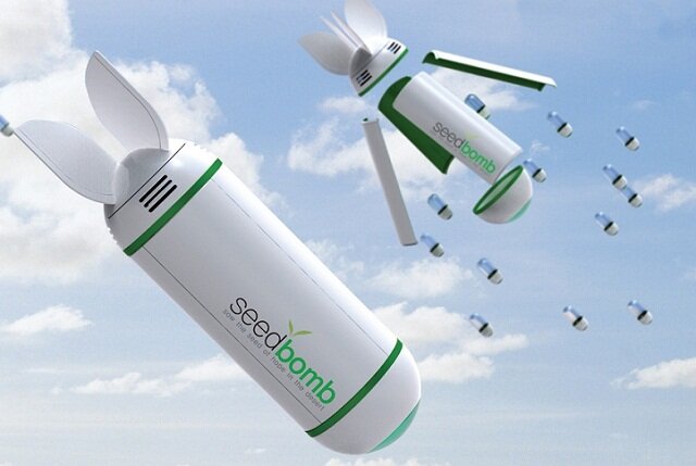 Источник фото: https://ecotechnica.com.ua/images/bomba-dlia-vysadki-lesa.jpg