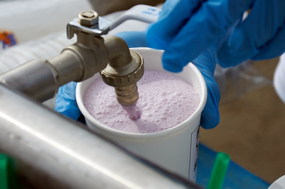 Сайт "Книга рекордов Иркутской области"