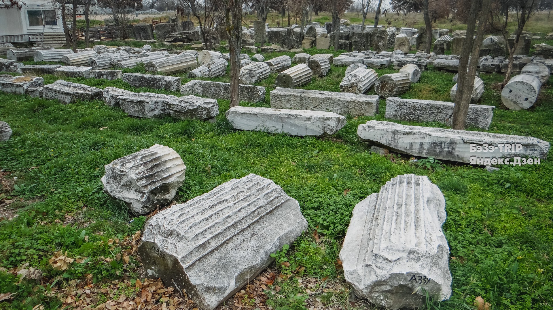 Подруга армянка однажды сказала: 