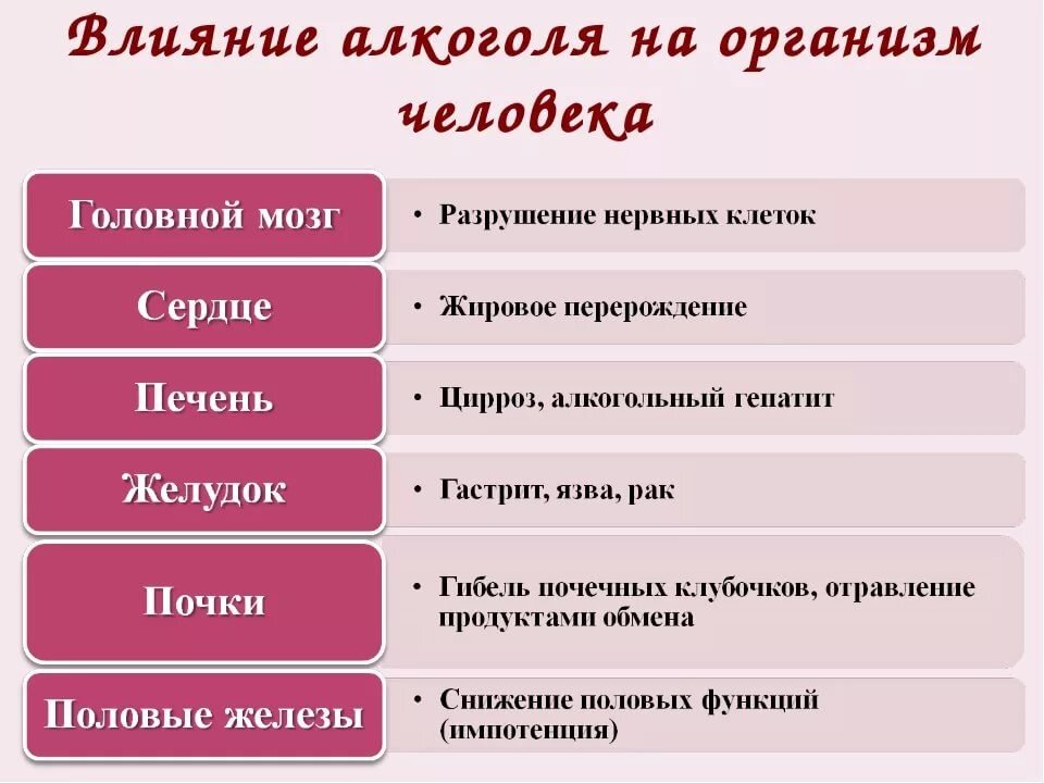 Администрация Московского района - Влияние алкоголя на организм человека