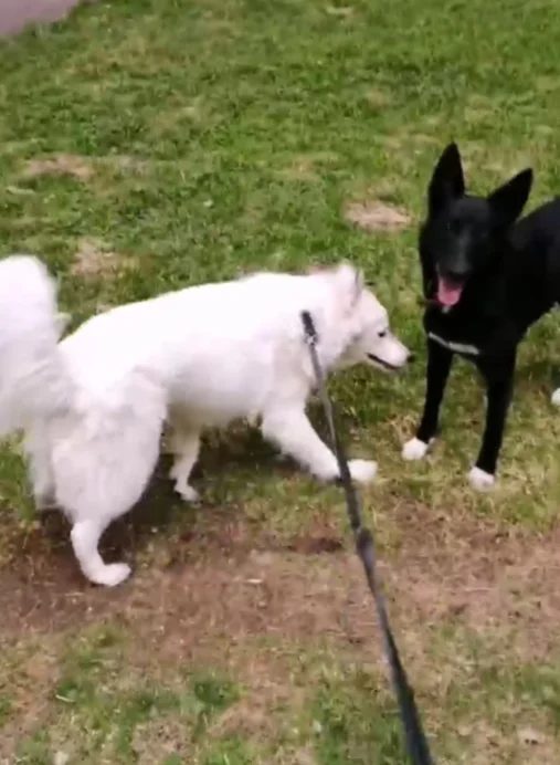 Дружелюбная Гера даже с вредной Юсей легко нашла общий язык