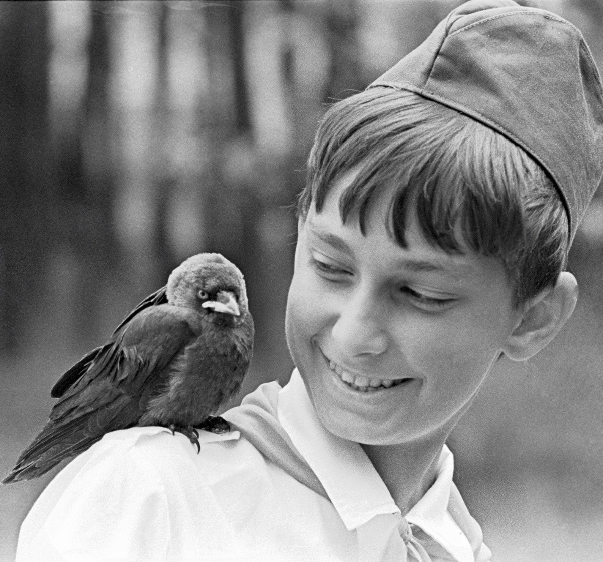 Мальчик и птица полностью. Птица на плече сидит. Мальчик и птица. Советский мальчик. Советские дети пионеры.