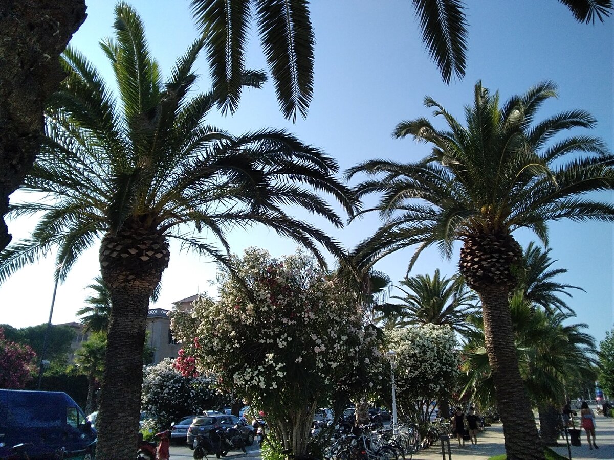 Набережная Сан-Бенедетто дел Тронто. Фото из личной коллекции