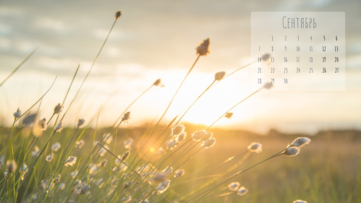 Заряжайся осенним настроением