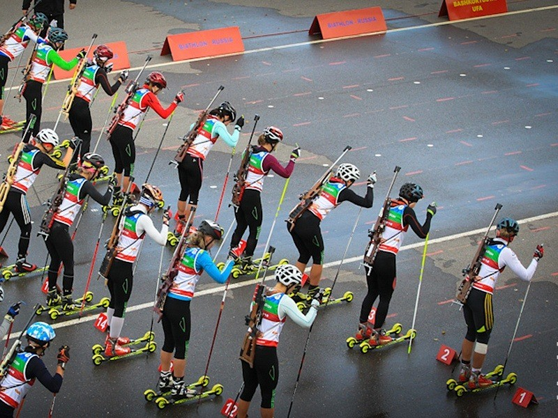 Фото яндекс картинки 