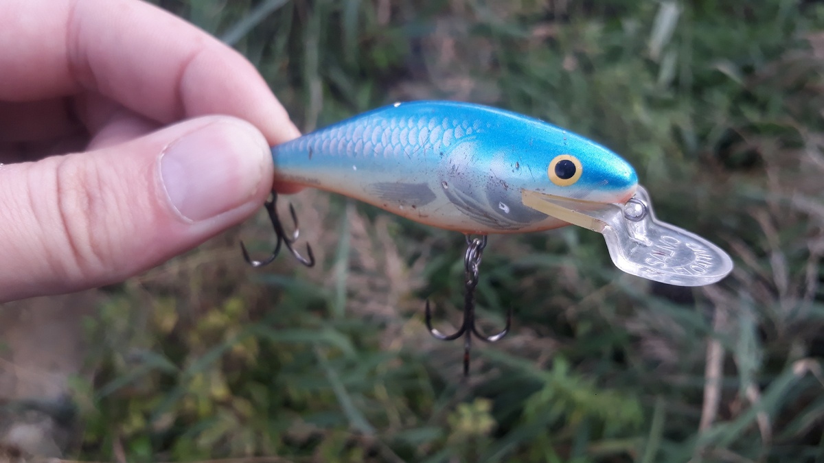 Воблер фирмы Salmo